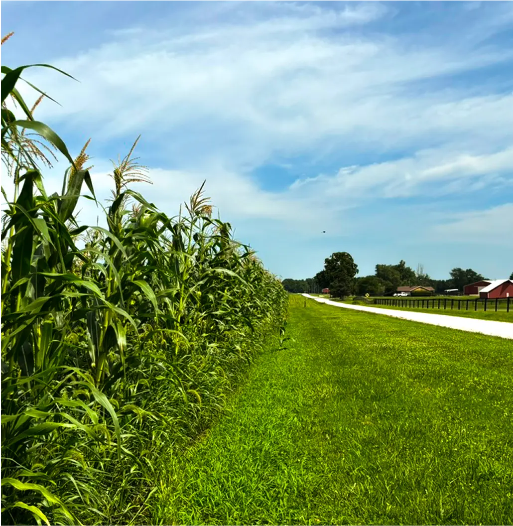 Ernst Farms